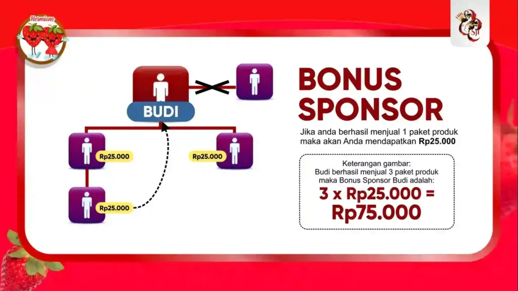 hermione marketingplan 02