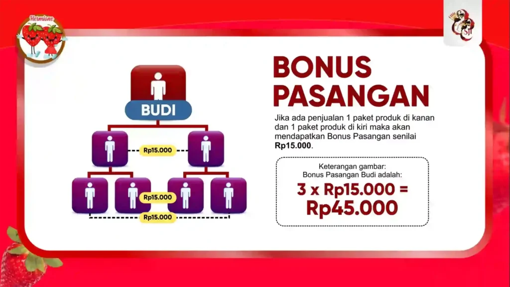 hermione marketingplan 03