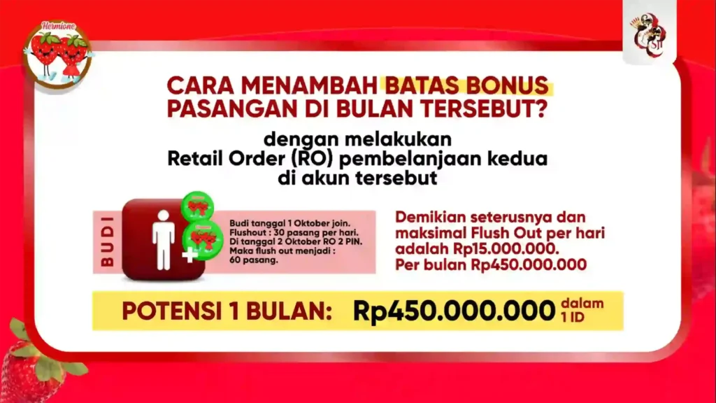 hermione marketingplan 04