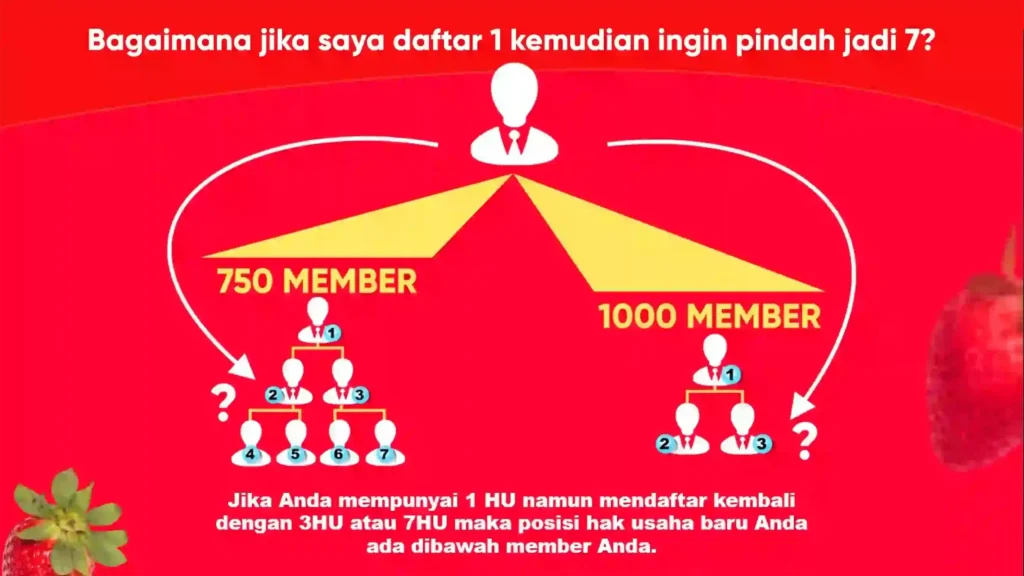 hermione marketingplan 09