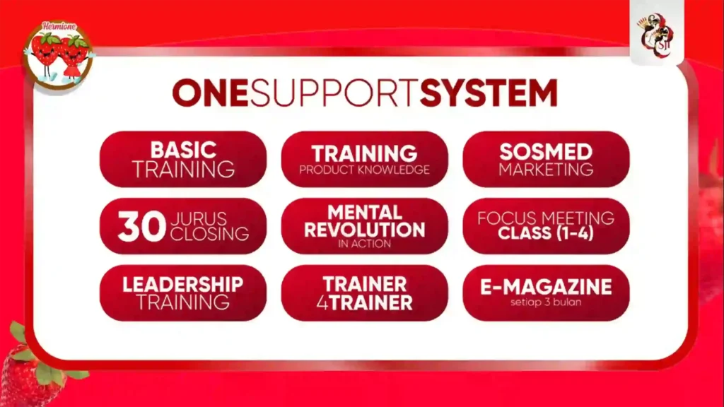 hermione marketingplan 12