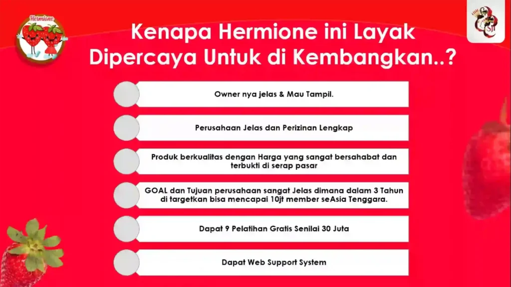 hermione marketingplan 13