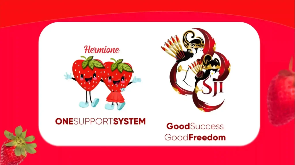 hermione marketingplan 14