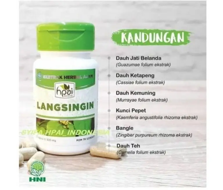 LANGSINGIN 3