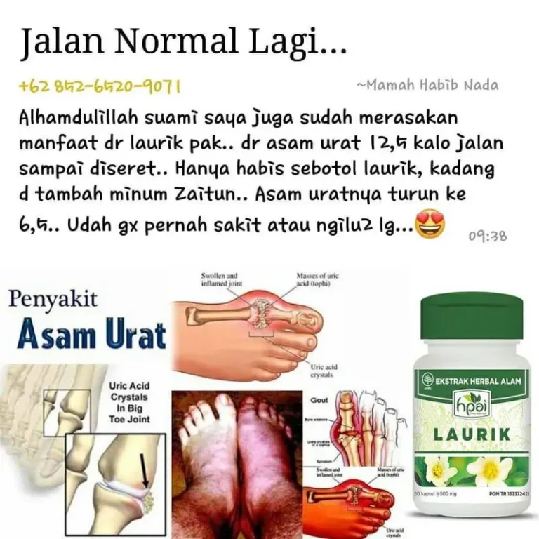 LAURIK 6