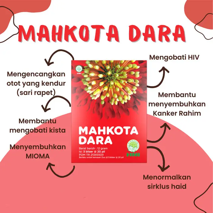 MAHKOTA DARA 2