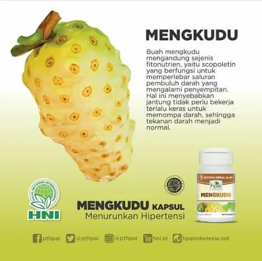 MENGKUDU KAPSUL 3