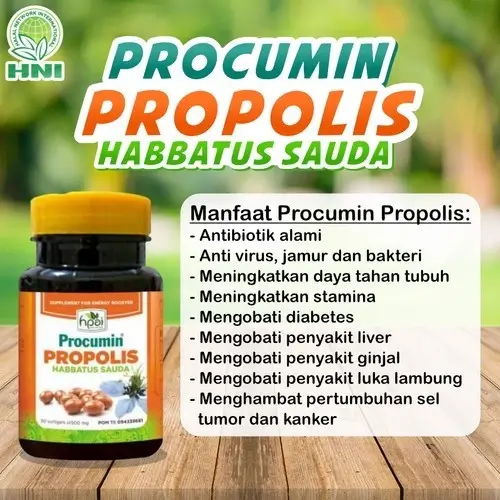 PROCUMIN HABBATUSSAUDA 2