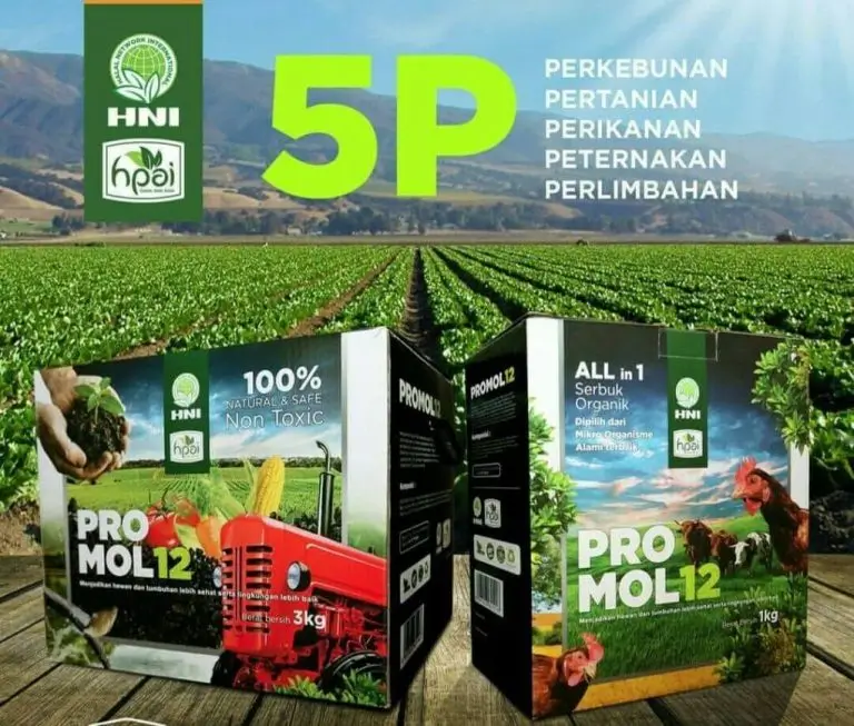 PROMOL12 2