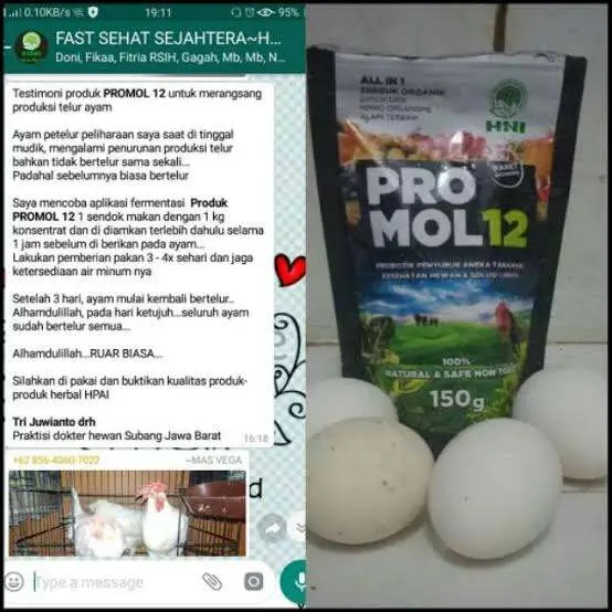 PROMOL12 4