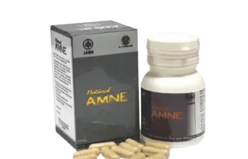 AMNE ASAM AMINO