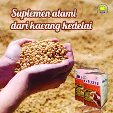 ENELCETE Lechitin Kapsul 3