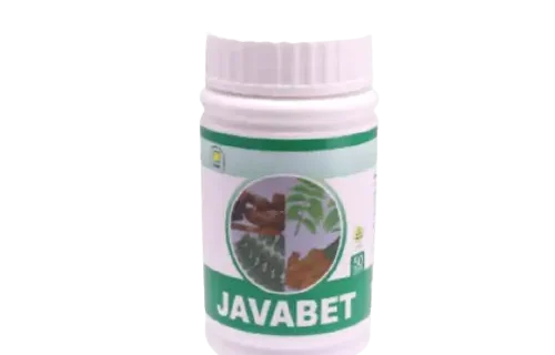 JAVABET