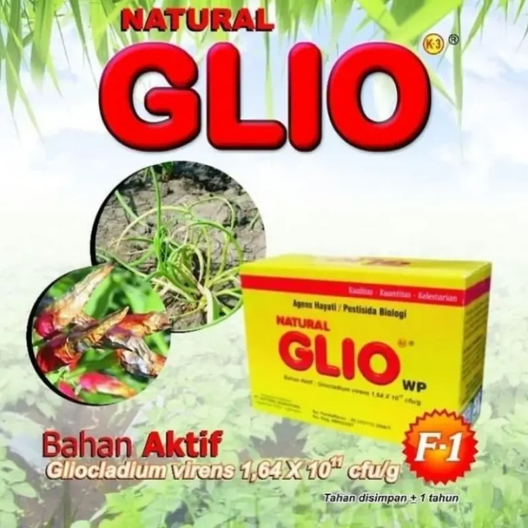 NATURAL GLIO Agens Hayati 2