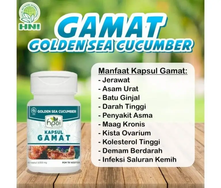 GAMAT KAPSUL 2