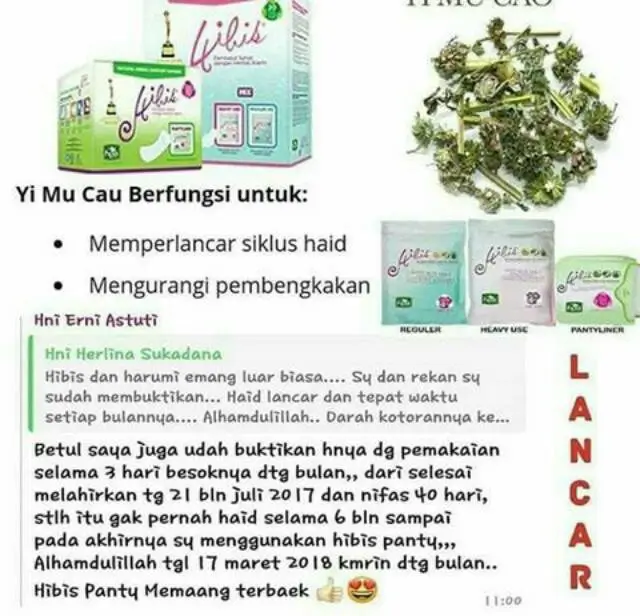 HIBIS MIX R_H 5
