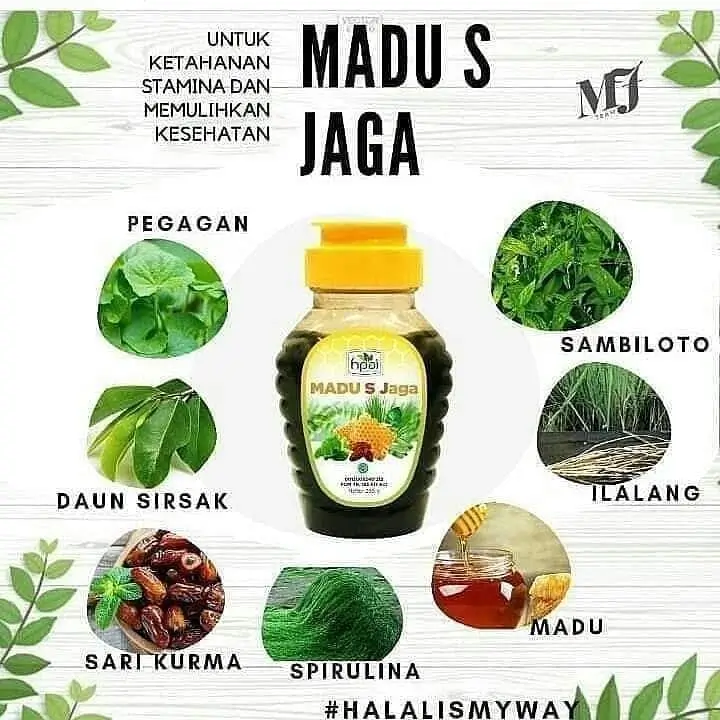 MADU S JAGA 3