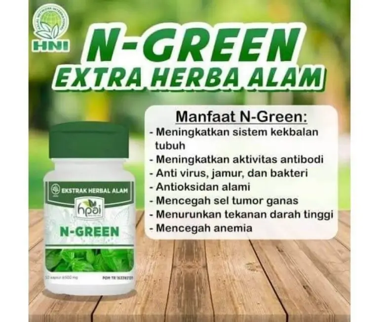N-GREEN 2