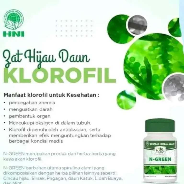N-GREEN 3