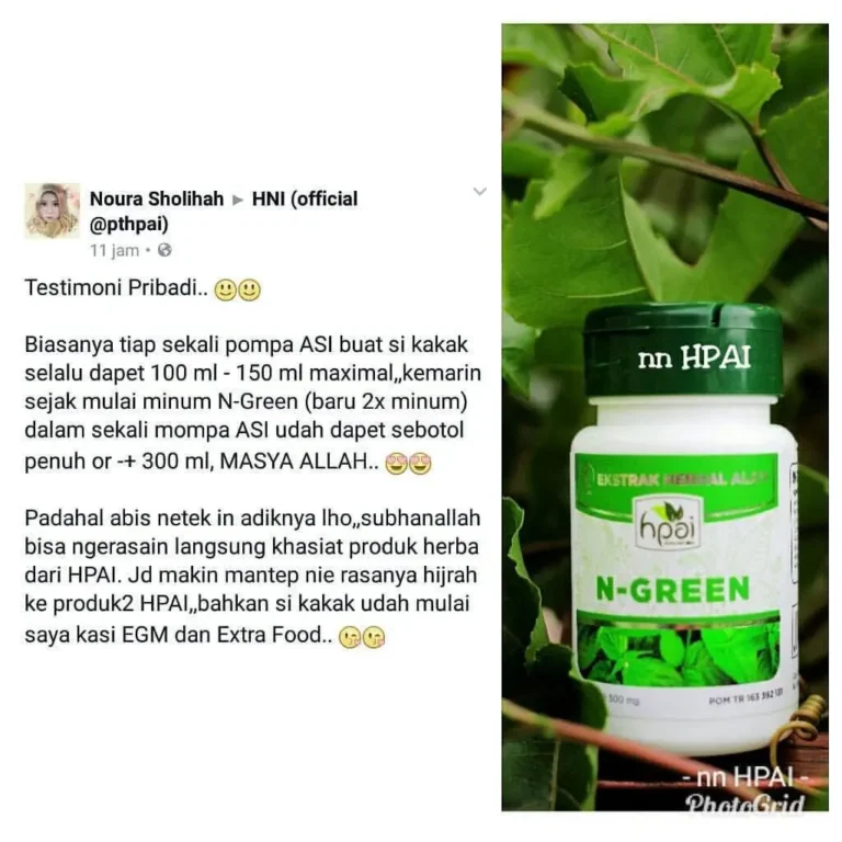 N-GREEN 5