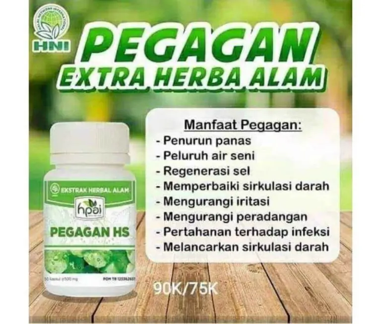 PEGAGAN HS 2