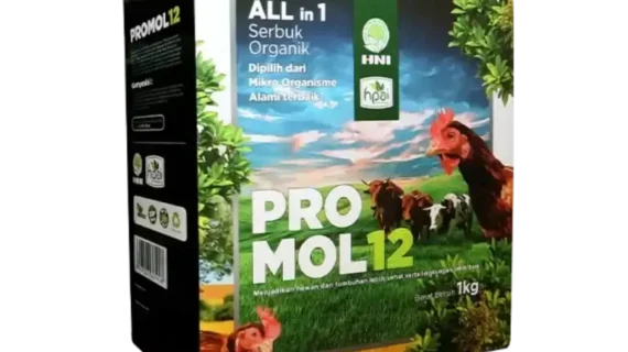 PROMOL12