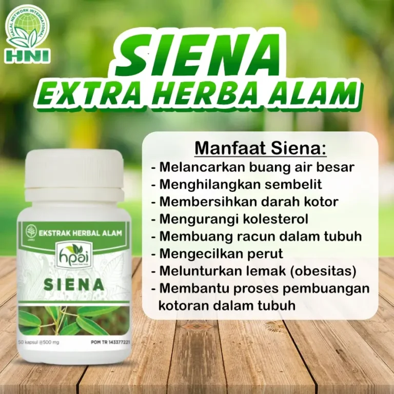 SIENA 2