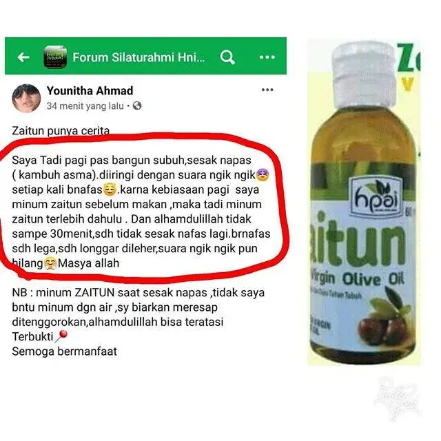 SINAI OLIVE OIL 6