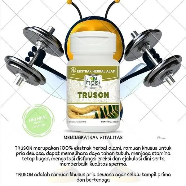 TRUSON 3