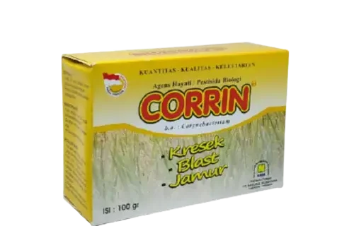 CORRIN