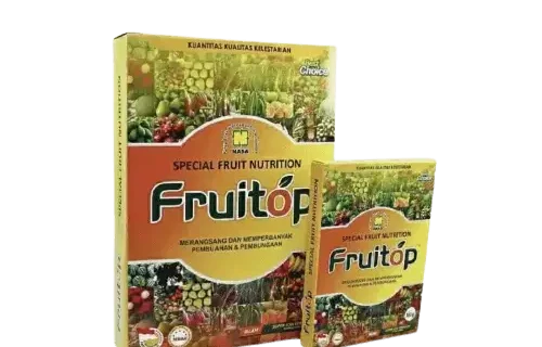 FRUITOP PUPUK BUAH SPRAY