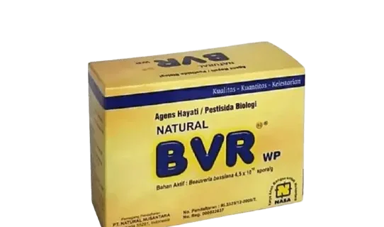 NATURAL BVR Agens Hayati