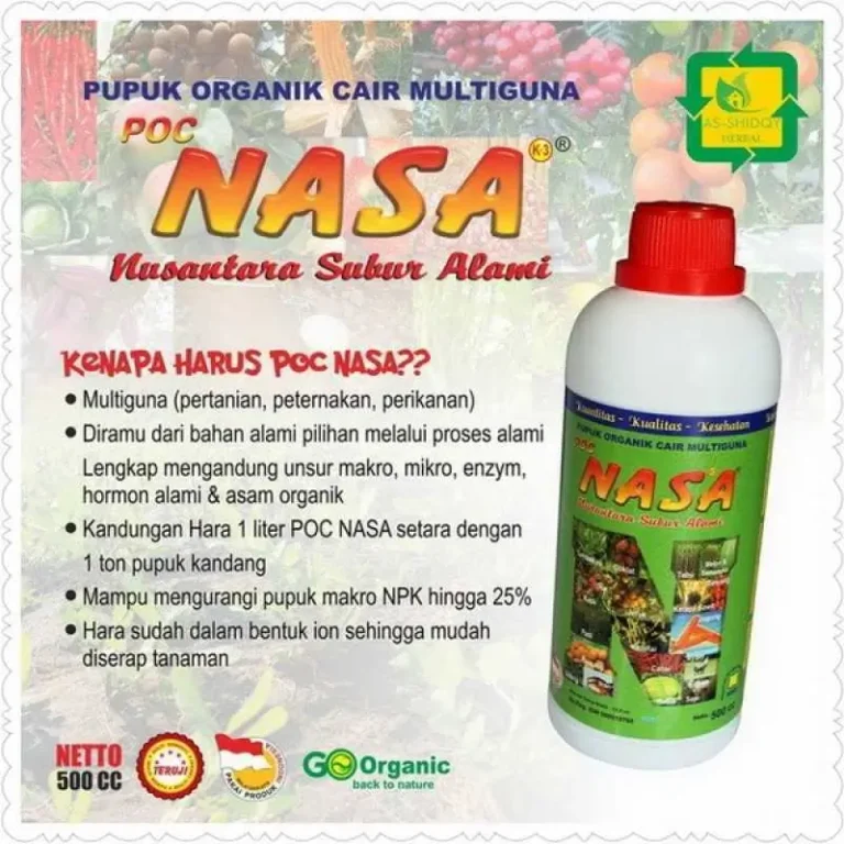 POCNASA 2
