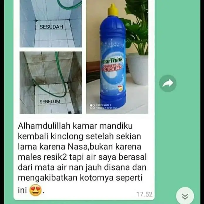 SMARTHINK Pembersih Porselen 4