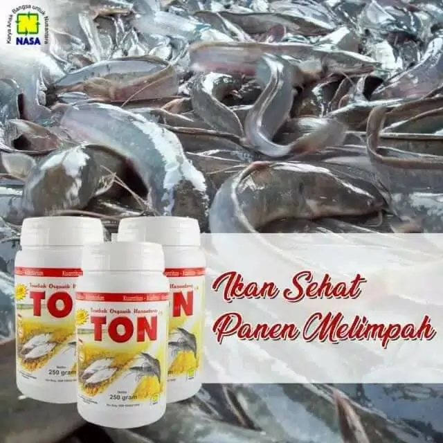 TON Tambak Organik Nusantara 3