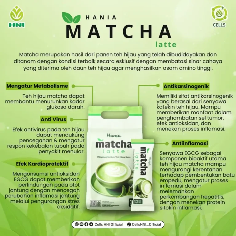 HANIA MATCHA LATTE 4